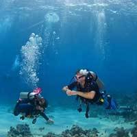 جهان در کیف
