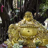 img-6